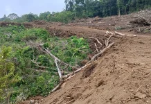 Kadis PMPTSP Minahasa : Pembangunan Tempat Wisata di Agotey Belum Memiliki Ijin