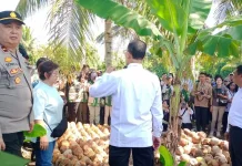Polsek Mapanget Kawal Kunjungan Mentan ke Lokasi Pembibitan Kelapa