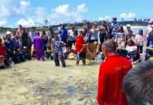 TNI-Polri Bersama Warga dalam Ritual Adat Manammi di Pulau Miangas