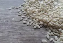 Wijen, Superfood Kaya Nutrisi sejak Zaman Kuno