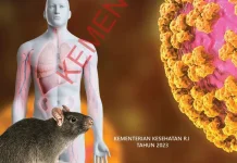 Kemenkes Ingatkan Bahaya Virus Hanta serta Cara Pencegahannya