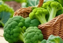 Manfaat Brokoli bagi Kesehatan Tubuh
