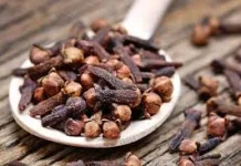 Cengkeh, Warisan Rempah Indonesia Herbal Alami Kaya Nutrisi