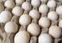 Telur Rendah Kolesterol : Sarapan Lezat tanpa Khawatir