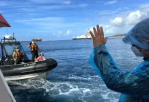 WHO Tegaskan Hantavirus Tak Sebabkan Ancaman Global Baru