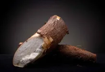7 Makanan yang Mengandung Sianida