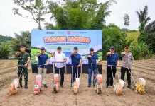 Program Agrosolution Pupuk Kaltim Perkuat Ketahanan Pangan Petani Bone Bolango