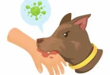 Bahaya Rabies, Gigitan Hewan hingga Risiko Kematian