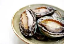 Kerang Abalon, Sumber Protein Laut Kaya Nutrisi