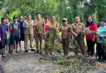 Program Ketahanan Pangan, Desa Kaasar Panen Kacang Tanah