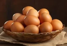 Cara Tepat Menyimpan Telur agar Tetap Awet