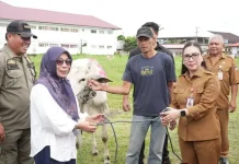 Penyerahan Hewan Kurban jelang Idul Adha 1447 H
