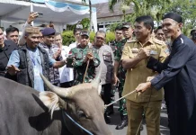 Pangdam Merdeka  Dampingi Gubernur Sulut Serahkan  Hewan Kurban