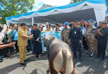 Sambut Idul Adha, Gubernur Sulut Serahkan 46 Hewan Kurban