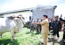 Gubernur Yulius Serahkan Sapi Kurban Bantuan Presiden di Bolaang Mongondow