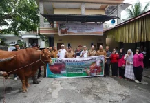Bupati Robby Dondokambey Serahkan Sapi Kurban Bantuan Presiden di Minahasa