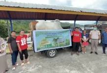 Barantin Kawal Pengiriman Sapi Kurban Bantuan Presiden Prabowo ke Siau dan Talaud