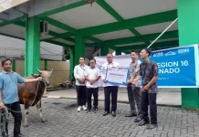Kanwil Kemenag Sulut Terima Bantuan Sapi Kurban dari BRI Manado
