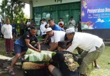 Idul Adha 1447 H, Pangdam dan Ketua Persit KCK Kodam Merdeka Sumbang Hewan Kurban