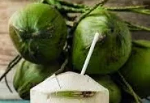 Air Kelapa Muda Minuman Higienis Nutrisi Tinggi dari Alam