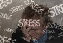 Mindful Eating Solusi Atasi Stress Eating di Lingkungan Kerja