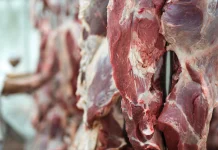 Anak Makan Daging Kurban Tiap Hari? Ini Porsi Ideal Kata Dokter