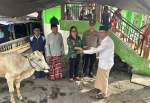 Camat Tombariri Serahkan Sapi Kurban Pemkab Minahasa di Poopoh