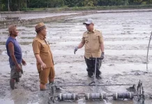 Bupati Boltara Melakukan Penanaman Benih Padi Sistem Tabela