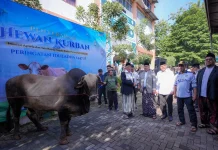 Menteri Nusron Serahkan Hewan Kurban ke Ponpes Darunnajah