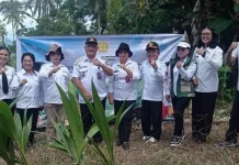BRMP Sulut Dukung Hilirisasi Kelapa lewat Tanam Serentak