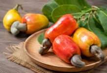 Manfaat Kesehatan Jambu Monyet yang Jarang Diketahui