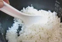Nasi Bisa Menjadi Racun jika Disimpan Sembarangan