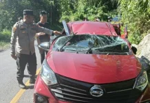 Polsek Airmadidi Selamatkan Tiga Penumpang Mobil Tertimpa Tiang Listrik