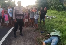 Bhabinkamtibmas Polsek Pineleng Gerak Cepat Tangani Laka Tunggal di Kalasey