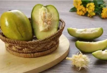 Manfaat Buah Kedondong Bagi Kesehatan