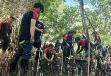 Bank Sampah Induk Likupang Apresiasi Komitmen Pelestarian Mangrove Alfamidi