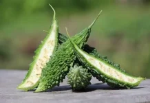 Pare, Sayuran Herbal Kaya Vitamin tapi Perlu Konsumsi Bijak
