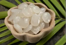 Manfaat Buah Kolang Kaling Untuk Kesehatan Tubuh