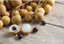 Manfaat Buah Kalengkeng Bagi Kesehatan Tubuh