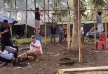 Pemuda Petra Poopoh Siap Berpartisipasi dalam PKPG 2026