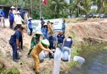 PWI Minut Kawal Ketahanan Pangan lewat Kolam Jurnalis Ikan Nila