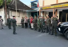 Operasi Gabungan di Pelabuhan Manado, Ayam tanpa Dokumen Diamankan