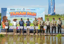 Pupuk Kaltim Gelar Tanam Padi Perdana Program Agrosolution di Kubu Raya