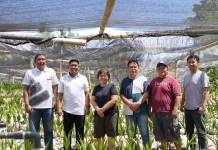 Danrem 131/Santiago Tinjau Lokasi Pembibitan Kelapa di Manado