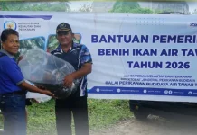 BPBAT Tatelu Salurkan Bantuan Ikan Nila di Pokdakan Airmadidi Atas