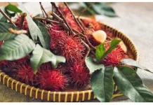 Manfaat Buah Rambutan Binjai Bagi Kesehatan Tubuh