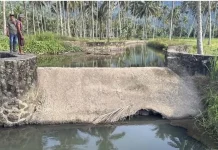 BRMP Sulut Kolaborasi dengan Dinas Pertanian Percepat Verval PITER Bolmong