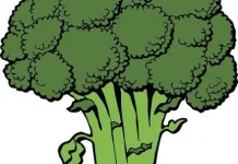 Sayuran Hijau, Sumber Nutrisi Alami untuk Kesehatan Tubuh