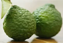 Jeruk Purut, Si Hijau Kecil dengan Kandungan Nutrisi yang Besar