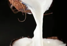 Santan Kelapa Baik untuk Kesehatan, Asal Tidak Berlebihan